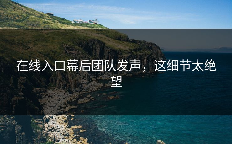 在线入口幕后团队发声，这细节太绝望