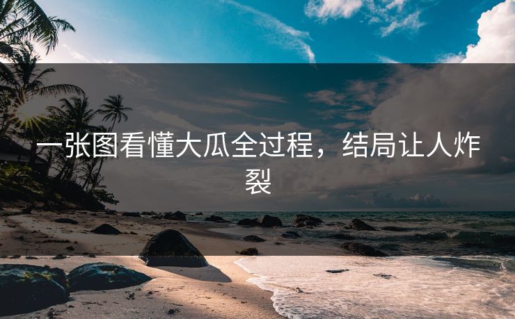 一张图看懂大瓜全过程，结局让人炸裂