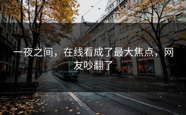 一夜之间，在线看成了最大焦点，网友吵翻了